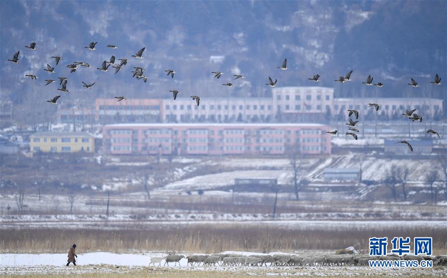 （新華全媒頭條·走向我們的小康生活·圖文互動）（14）黑土地上是我家——在吉林，一瞥中國東北鄉(xiāng)村美麗未來