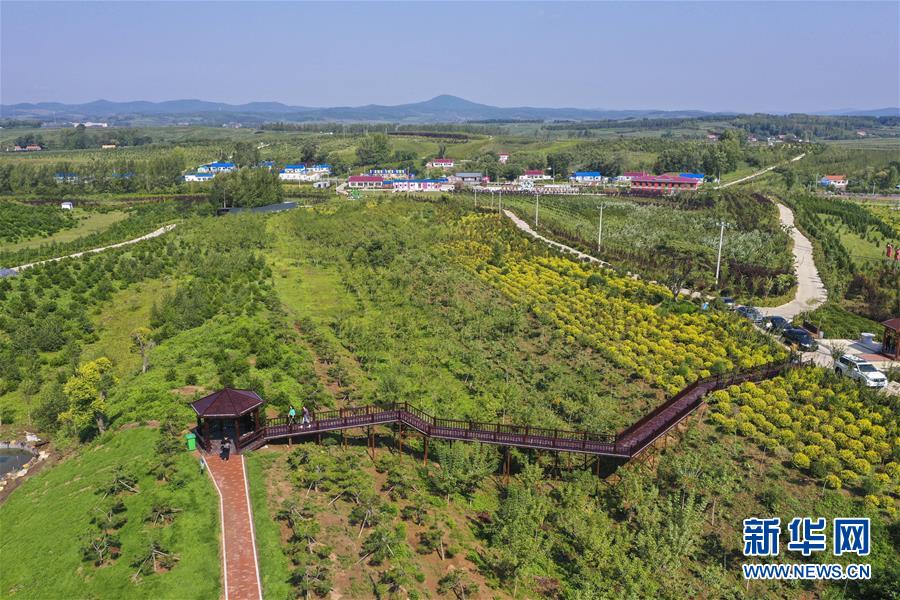 （新華全媒頭條·走向我們的小康生活·圖文互動）（16）黑土地上是我家——在吉林，一瞥中國東北鄉(xiāng)村美麗未來