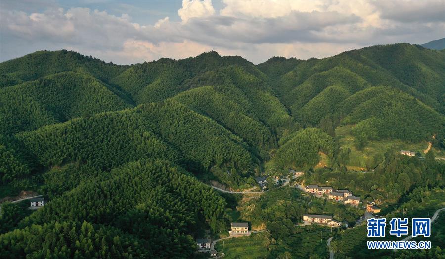 （新華全媒頭條·走向我們的小康生活·圖文互動(dòng)）（2）神山村“神奇”何在？——井岡山深處覓答案