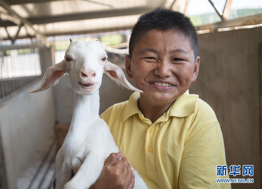 （新華全媒頭條·走向我們的小康生活·圖文互動）（5）特殊之年，荊楚大地書寫不平凡的答卷