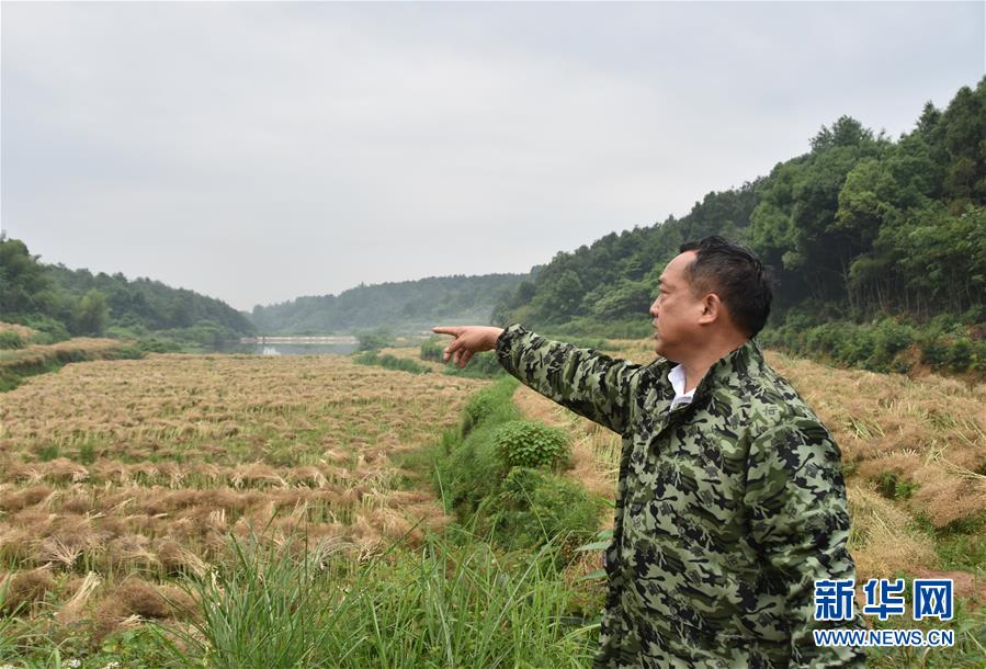 （代表委員履職·圖文互動(dòng)）（2）“我是農(nóng)民代表，始終關(guān)注農(nóng)村”——全國(guó)人大代表沈昌健的履職故事