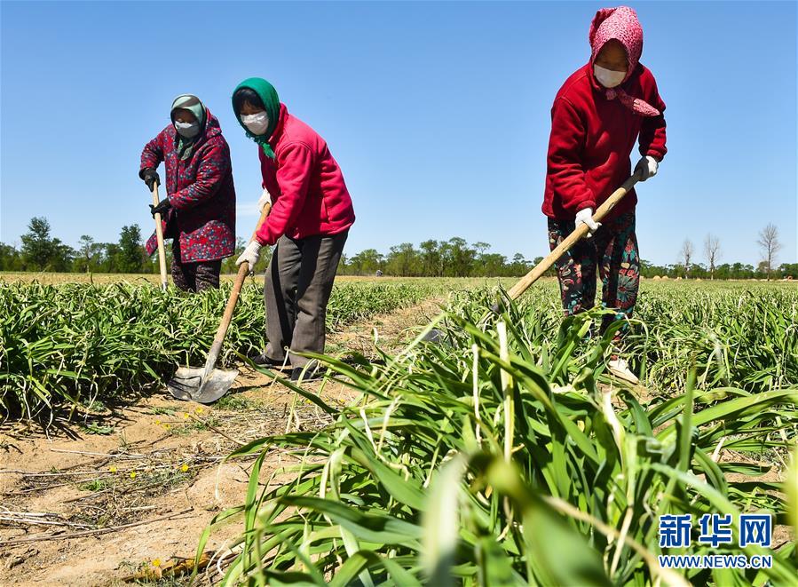 （新華全媒頭條·圖文互動(dòng)）（17）從人民中汲取磅礴力量——習(xí)近平總書記同出席2020年全國兩會(huì)人大代表、政協(xié)委員共商國是紀(jì)實(shí)