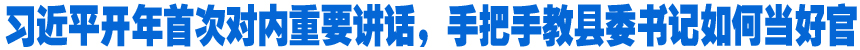 習近平開年首次對內(nèi)重要講話，手把手教縣委書記如何當好官