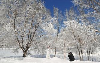 沈陽(yáng)雪后天晴景色美麗吸引民眾觀(guān)賞拍照