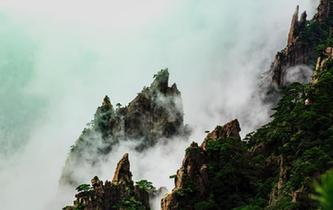 秋雨過后安徽黃山云霧繚繞宛如仙境