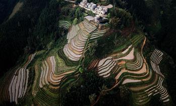 飛閱邊關(guān)山田春景