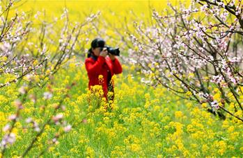 春暖花開