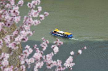 花開劉家峽