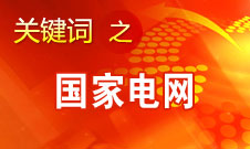 劉振亞：國(guó)家電網(wǎng)2020年前在國(guó)外投入300億-500億美元