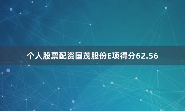 个人股票配资国茂股份E项得分62.56