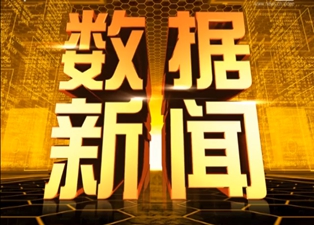 《數(shù)據(jù)新聞—— 網(wǎng)購(gòu)大數(shù)據(jù)》