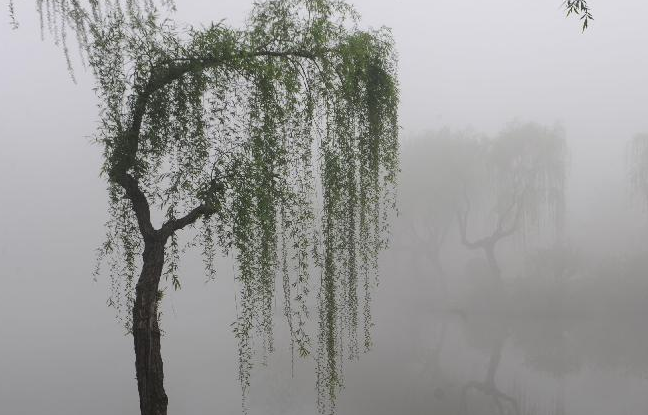 中國多地遭遇大霧天氣