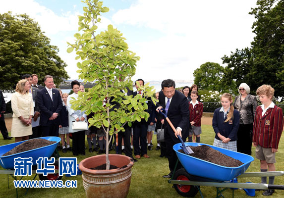 11月18日，國家主席習(xí)近平在澳大利亞塔斯馬尼亞州與朗塞斯頓市斯科奇－歐克伯恩小學(xué)的小學(xué)生共同植樹。新華社記者 饒愛民 攝