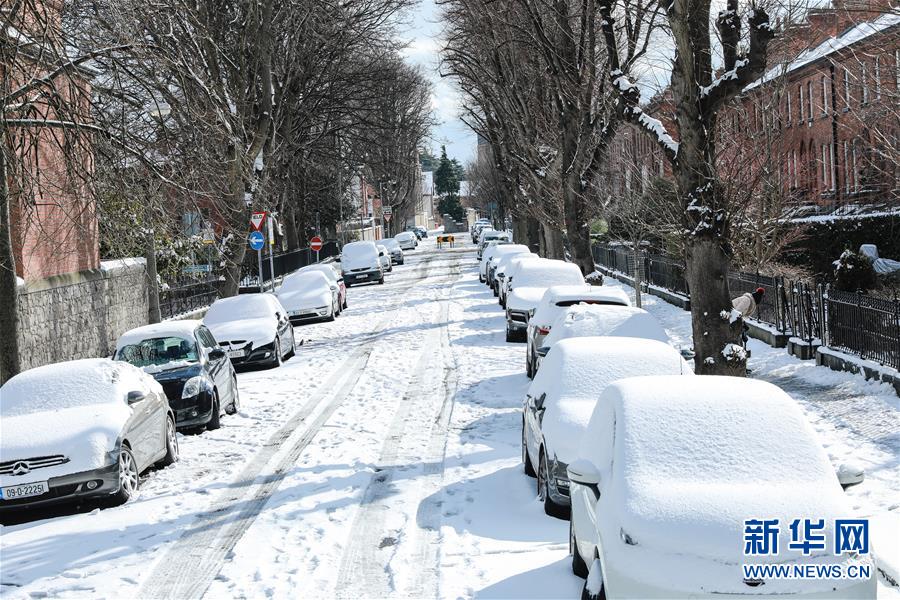 （國際）（4）愛爾蘭遭遇36年來最嚴重暴風雪