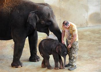 動物園又添新成員