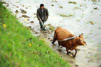 清明時(shí)節(jié)春耕忙