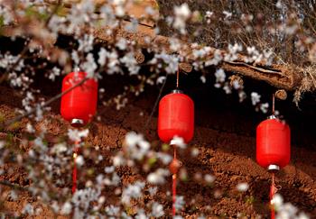 大山里的“愛(ài)和小鎮(zhèn)”：當(dāng)鄉(xiāng)村遇上藝術(shù)